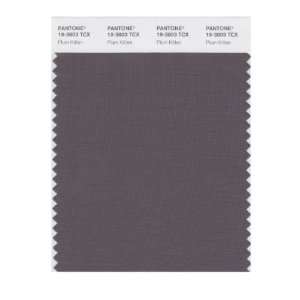   SMART 19 3803X Color Swatch Card, Plum Kitten