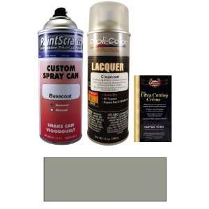  12.5 Oz. Cashmere Silver Metallic Spray Can Paint Kit for 