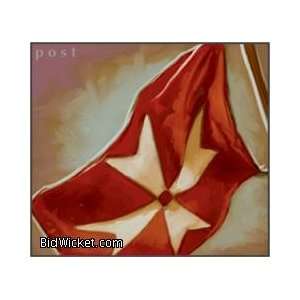  Knights of Malta Banner (Pirates   Pirates of the Barbary 