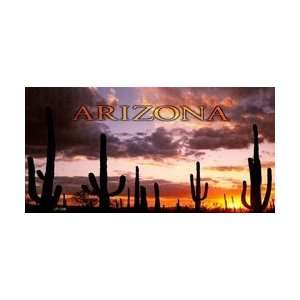  LP 1338 Arizona Sunset with Cactus License Plates Tags 