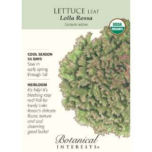  Lettuce Leaf Lolla Rossa Certified Organic Seed Patio 