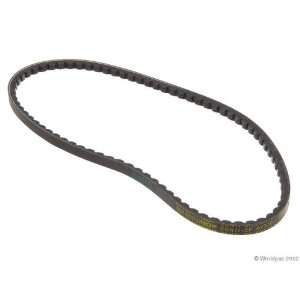  Conti W1002 33113   V Belt Automotive