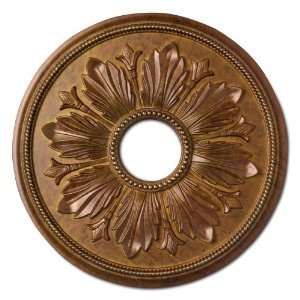 Focal Point 81641D 41 Inch Renaissance Medallion 41 Inch by 41 Inch by 