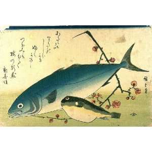   Ando Hiroshige   24 x 16 inches   Yellowtail, Blowfish and Plum Branch