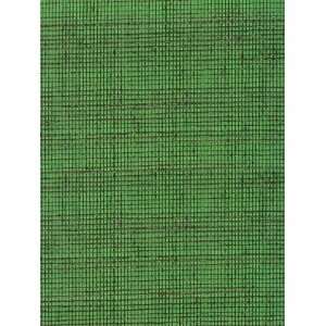  Phillip Jeffries PJ 4843 Glazed Abaca   Emerald Wallpaper 