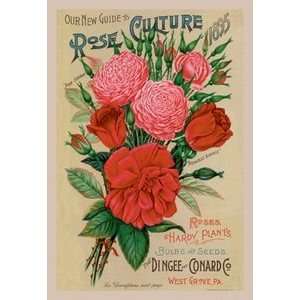 Our New Guide to Rose Culture, 1895   12x18 Framed Print in Black 