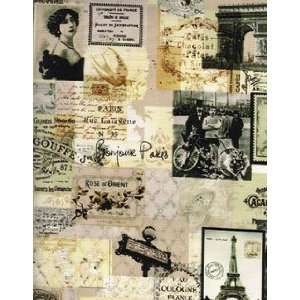 Timeless Treasures Paris Photo Collage Antique by the Half 