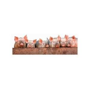  Domestic Pigs Bookmark