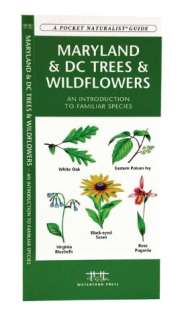 Maryland & DC Trees & Wildflowers An Introduction to Familiar Species