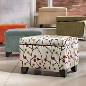  Audra Storage Ottoman   Grandin Road