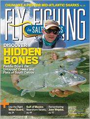 Fly Fishing in Salt Waters, ePeriodical Series, Bonnier 