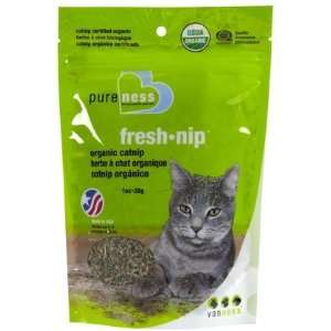  Fresh Nip Organic Cat Nip (Quantity of 4) Health 
