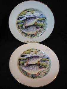   ROYAL STAFFORDSHIRE England FISH ROACH QTY 2 DINNER PLATES  