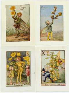   Prints c.1930 Cicely Barker Kingcup Yellow Deadnettle Coltsfoot  