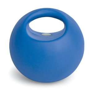 Valeo 9 Pound Weighted Handle Ball
