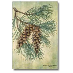  Wood Graphixs Inc. Pine Cone Wall Art