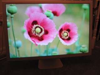 Apple Cinema HD 30 inch Display Great Condition 2560x1600 RARE WITH 