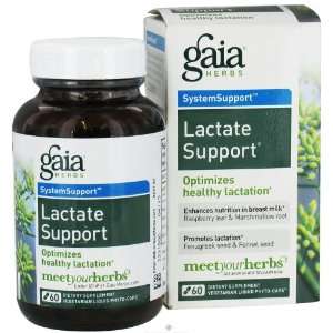  Gaia Herbs Lactate Support, 60 Vegetarian Liquid Capsules 