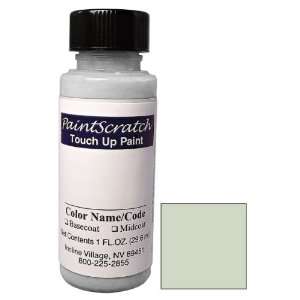 1 Oz. Bottle of Light Aqua Opal Metallic Touch Up Paint 