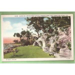  Postcard Vintage Coral Reef Formation Miami Florida 