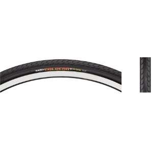  CST Caldera Pro 700 x 28c Folding Tire w/EPS, Black 