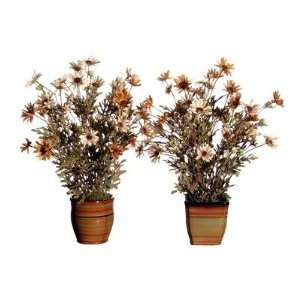    Floral Artificial Potted Country Daisy in White