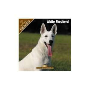  2008 White Shepherd 2008 16 Month Pinup Wall Calendar **IN 