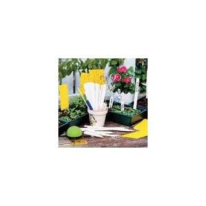  8 inch White Birch Plant Tags (Pkg of 50) 
