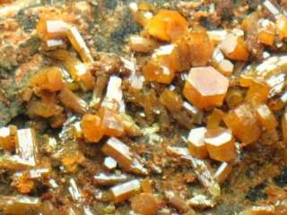 1LB,classic brownish orange MIMETITE crystals  M002  