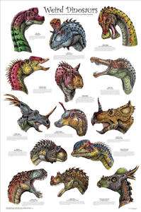 Weird Dinosaurs   Educational Science Poster  