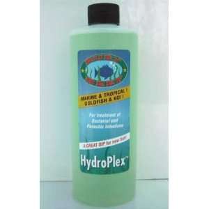  Ruby Hydroplex Refill 16 Oz