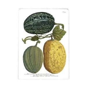  Antique Melons I by Weimann 10x14