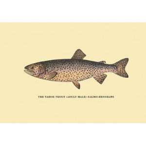 The Tahoe Trout 12x18 Giclee on canvas 