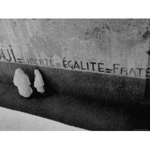  Pro French Constitution Sign on an Algerian Wall Stretched 