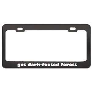 Got Dark Footed Forest Shrew? Animals Pets Black Metal License Plate 