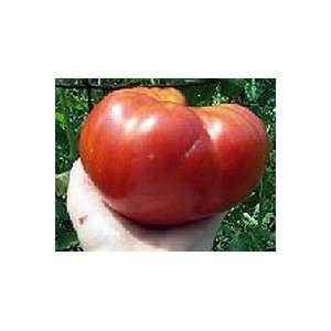  Mortgage Lifter Certified Organic Tomato Seeds 50 Seeds 