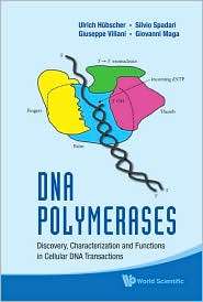 Dna Polymerases Discovery, Characterization and Functions in Cellular 