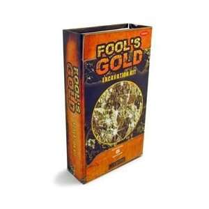  Fools Gold Exploration Dig Kit Toys & Games