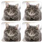 Brown Long haired Norwegian Forest Cat Snow Coaster Mat Set Of 4 Pcs