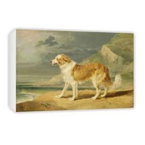  Rough coated Collie, 1809 (oil on board) by   Canvas 