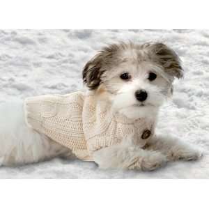 Petrageous Designs Caseys Cable Knit Dog Sweater   Medium 
