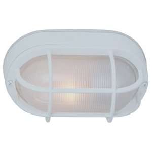   Traditional / Classic Single Light Ambient Lighting Large Oval Outd