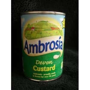 Ambrosia Devon Custard 425 G ( Pack of 2 Grocery & Gourmet Food