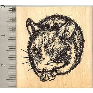  Large Dwarf Hamster rubber stamp Arts, Crafts & Sewing