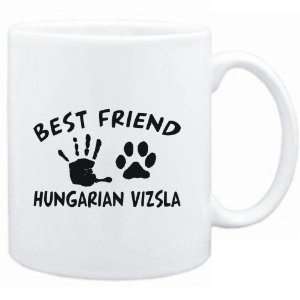    MY BEST FRIEND IS MY Hungarian Vizsla  Dogs