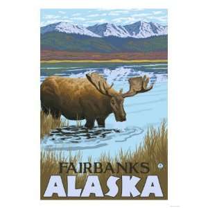  Moose Drinking at Lake, Fairbanks, Alaska Giclee Poster 