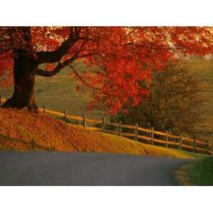  Country Lane, Faquier County, Virginia, USA Photographic 