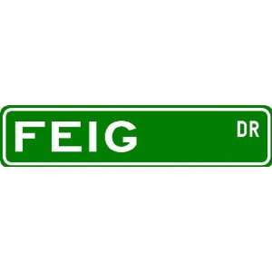  FEIG Street Sign ~ Personalized Family Lastname Sign 