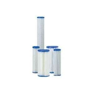 Series Pleated Polyester Cartridge R50 