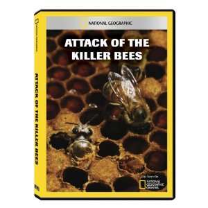   Geographic Attack of the Killer Bees DVD Exclusive Toys & Games